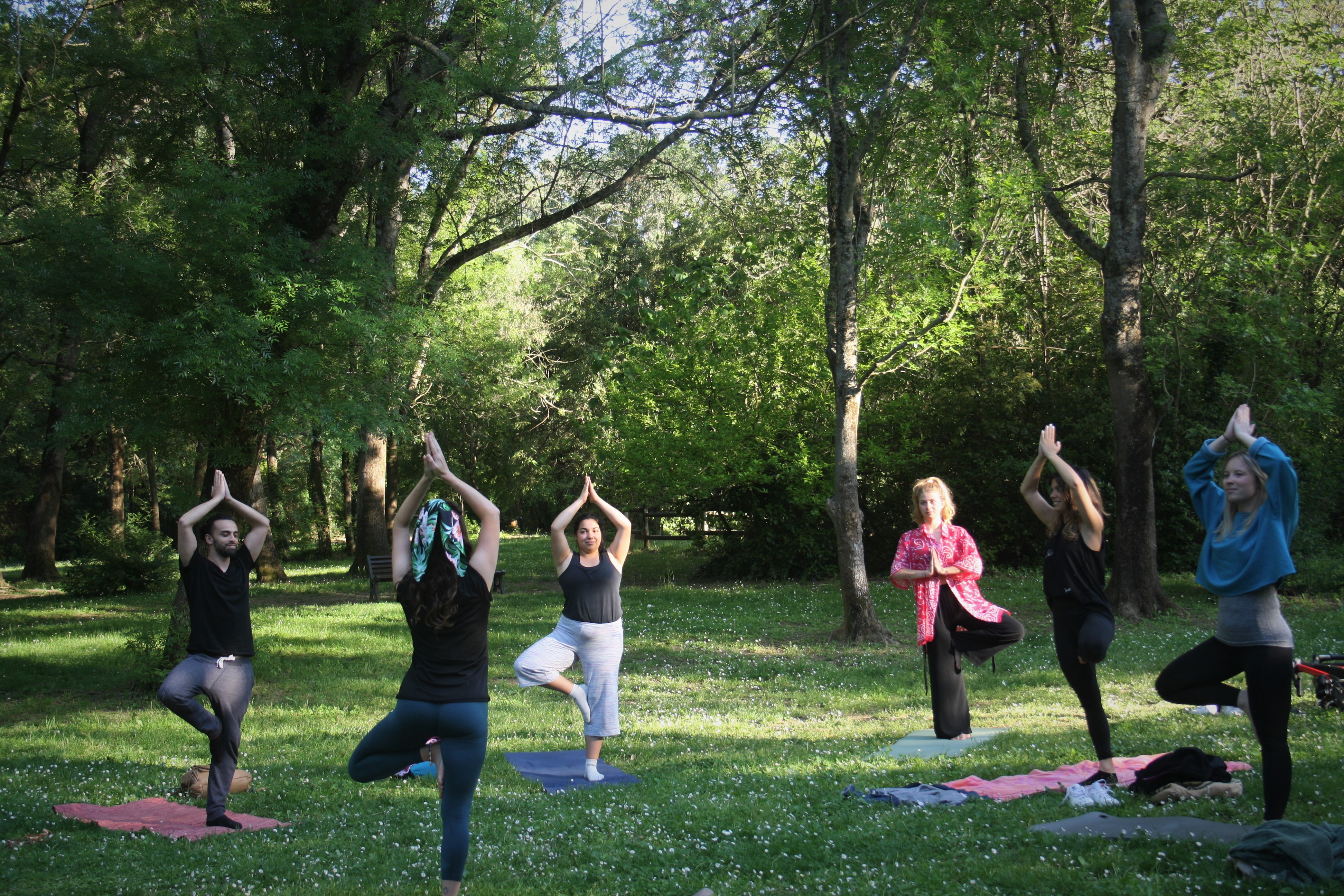 Image Hatha Yoga 1