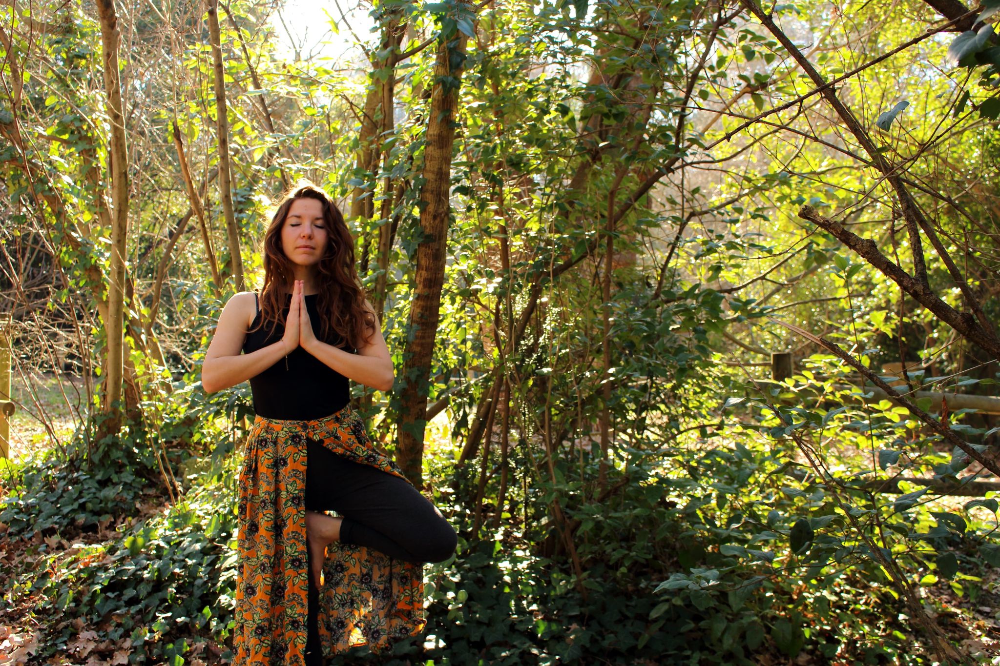 Image Hatha Yoga 3